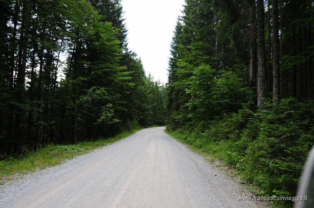 40 km off road nel bosco 2011.07.30.JPG